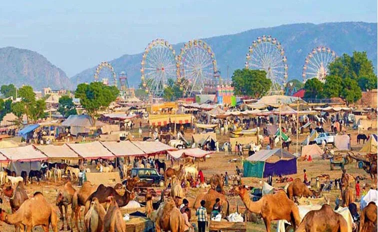 Pushkar Fair Locally Kartik Mela Ajmer City