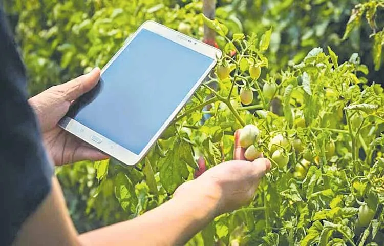 Some who came forward for digital crop survey