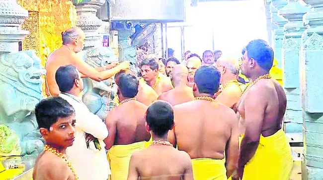 హై ఫె