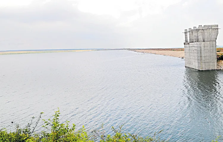 Reservoirs and check dams are also under threat of encroachment