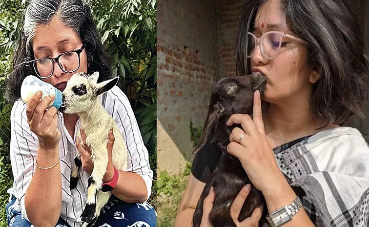 World Animal day 2024 Special Day on Alokparna Sengupta