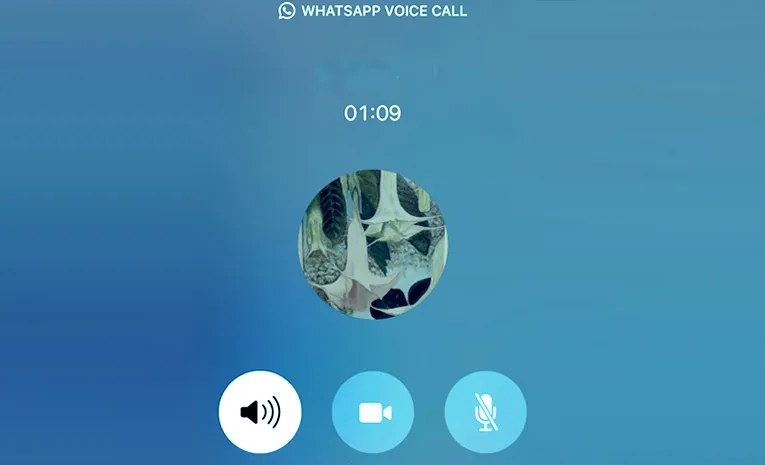 Guntur BJP Leader Vanama Narendra Viral Video Call
