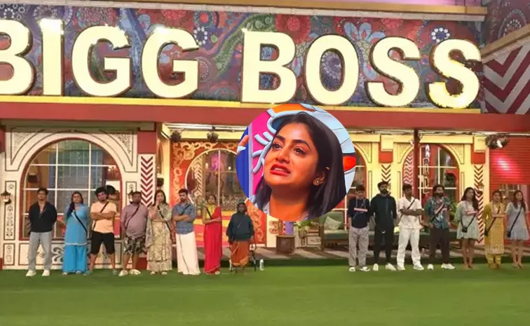 Bigg Boss 8 Telugu Nayani Pavani Trauma Comments