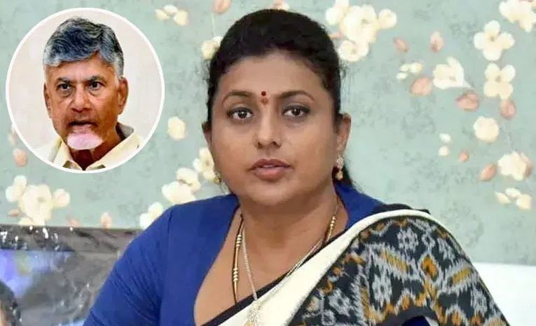 YSRCP RK Roja Satirical Comments On CM Chandrababu