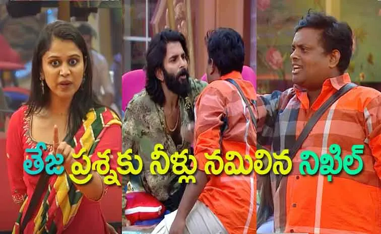 Bigg Boss 8 Telugu, Nov 11th Episode Review: Tasty Teja Argues with Prithviraj Shetty, Nikhil Maliyakkal