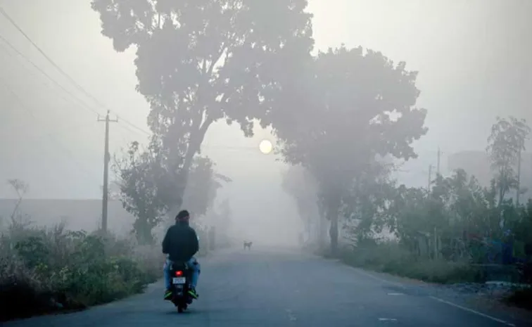 Cold Started Increasing in Chhattisgarh