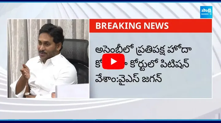 YS Jagan about YSRCP Opposition Status