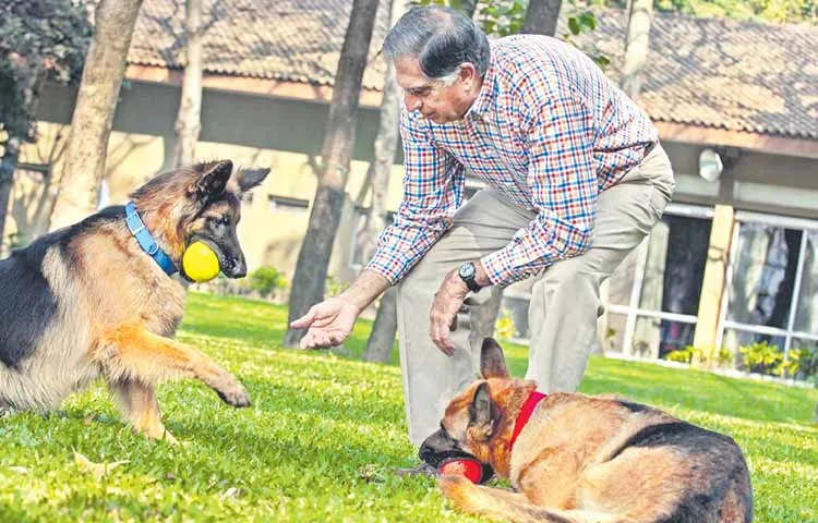 Ratan Tata A Life book covers many topics