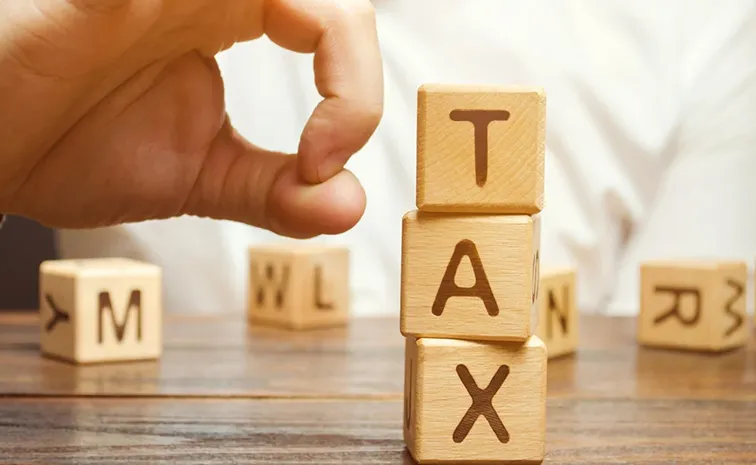 Income Tax Avoidance evasion types