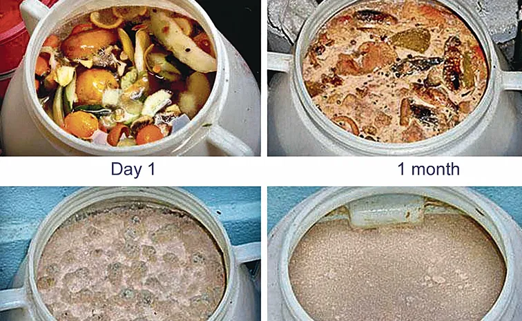how to make Garbage enzyme for plants