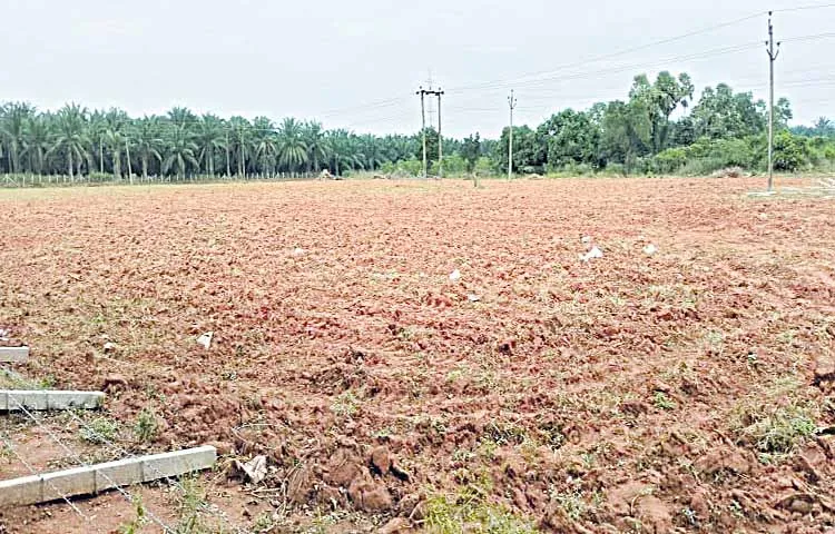 Encroachment of temple lands in Chintalapudi constituency of Eluru district