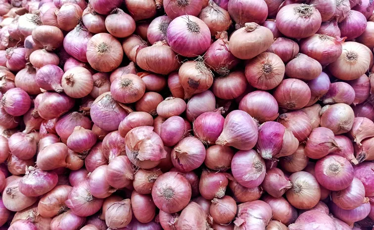 Onion Express From Nashik Arrived in Delhi