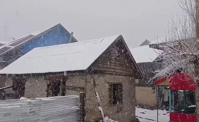 Cold Increased due to Snowfall in the Mountains