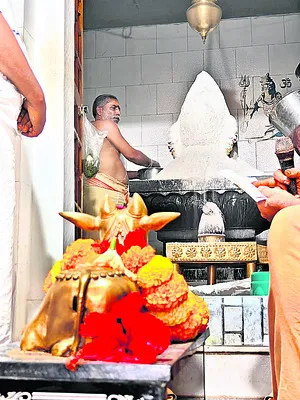 108 కిలోల విబూదితో శివయ్యకు అభిషేకం