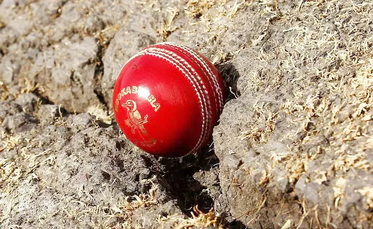  Is There Snake Cracks On Perth Test Pitch Chief Curator Makes Big Revelation