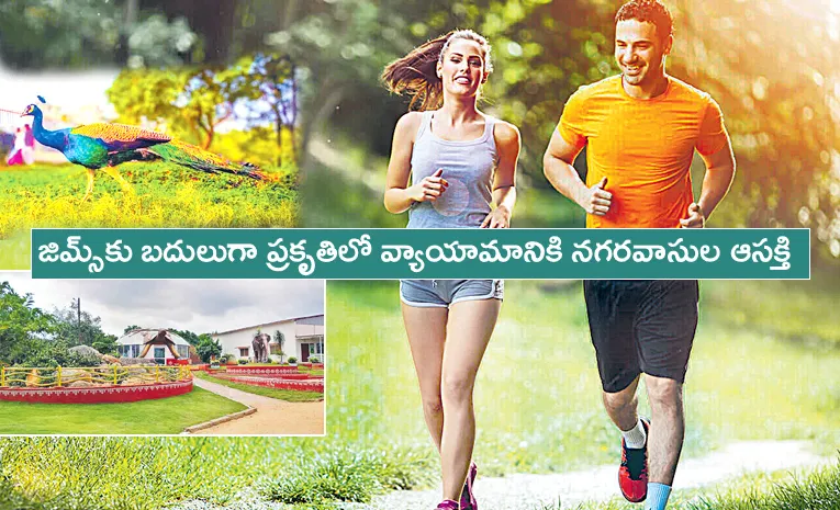 Hyderabad People Like To Nature Parka
