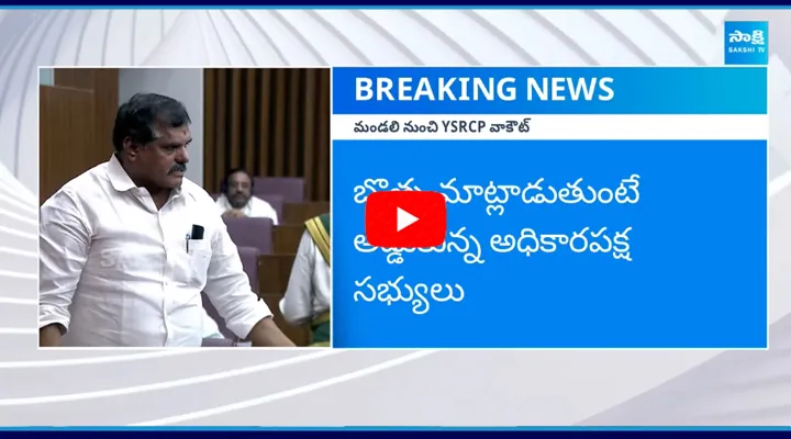 YSRCP MLCs Walkout From Legislative Council