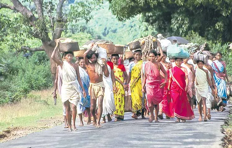 Up to 55 percent of those displaced by development work are tribals