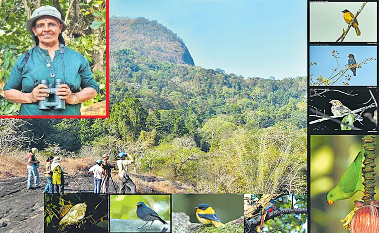 Forest guide at Thattekkad Bird Sanctuary, Sudha Chandran