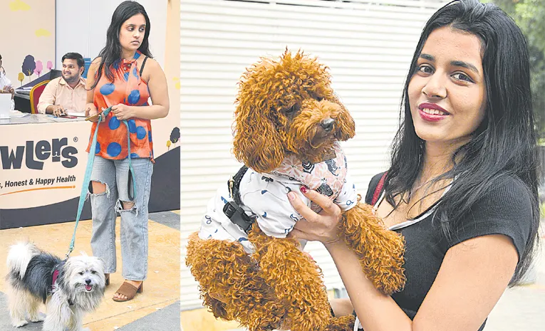 Pedigree Pro HyCan 24 Canine show held in Hyderabad