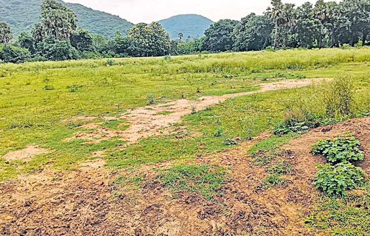 Railway Board invites tenders for South Coast Zone with Visakhapatnam as its hub