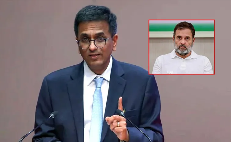 Judiciary Not Here To Perform Opposition Role: DY Chandrachud