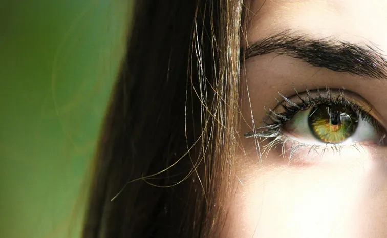 Do you know about eyelash dandruff? common but risky; Check details
