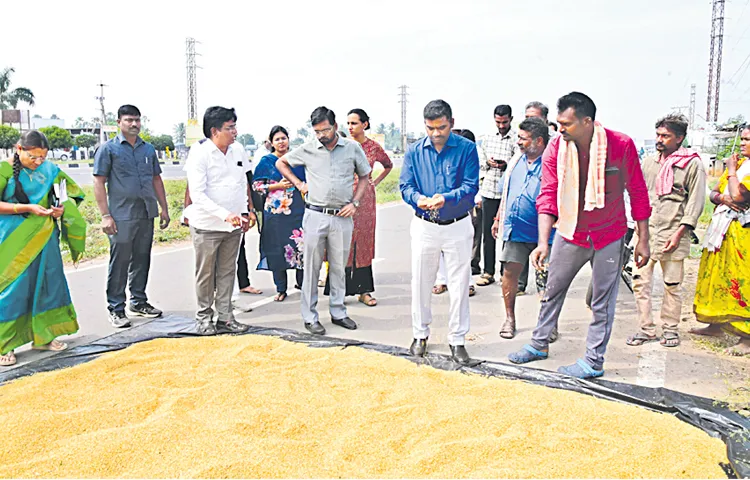 Grain procurement in full swing