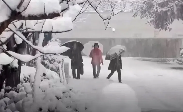 Soul will Tremble After Seeing Snow Storm in South Korea