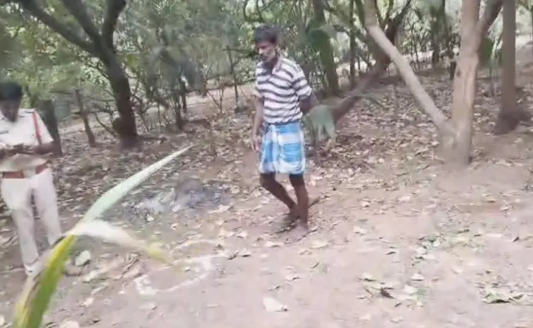 Tiger Moving In Srikakulam Areas