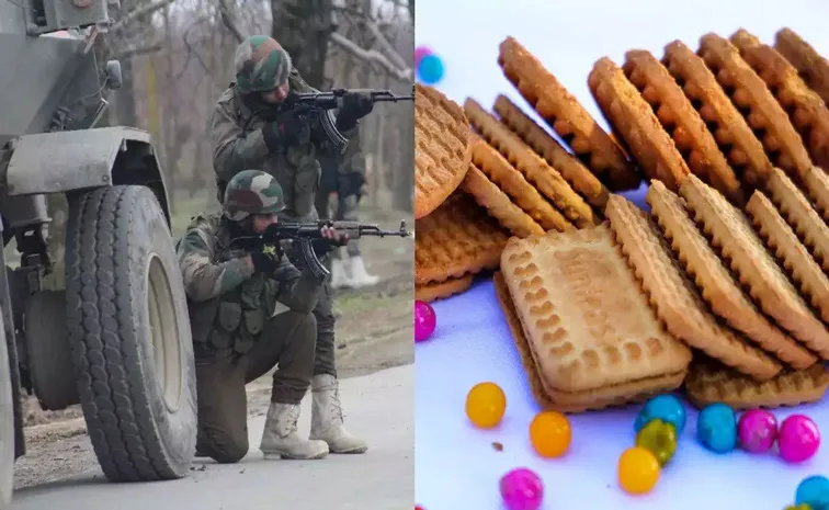 biscuit played key role in Lashkar-e-Taiba commander Usman killing in Srinagar