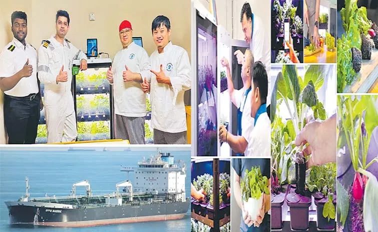 Agwa Delivers Autonomous Vegetable Growing Systems For Ships