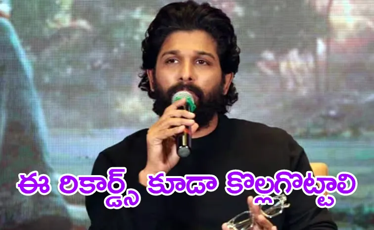 Allu Arjun Comments On Pushpa 2 Records