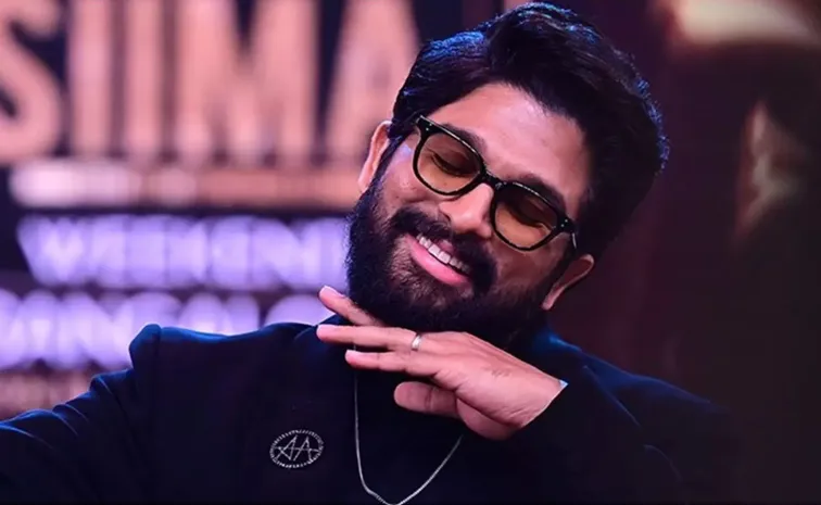 Allu Arjun Political Entry Comments On His Team
