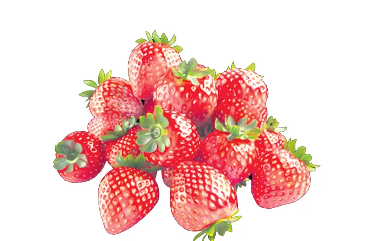 Strawberry season has begun in Manyam area of Alluri district