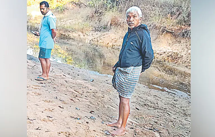 Tiger spotted by tribal farmers in Thimmapuram