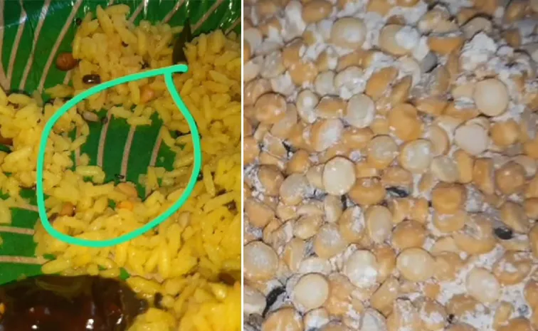 Worms Found In Prasadam Offered To Devotees In Pithapuram Padagaya Kshetra Temple