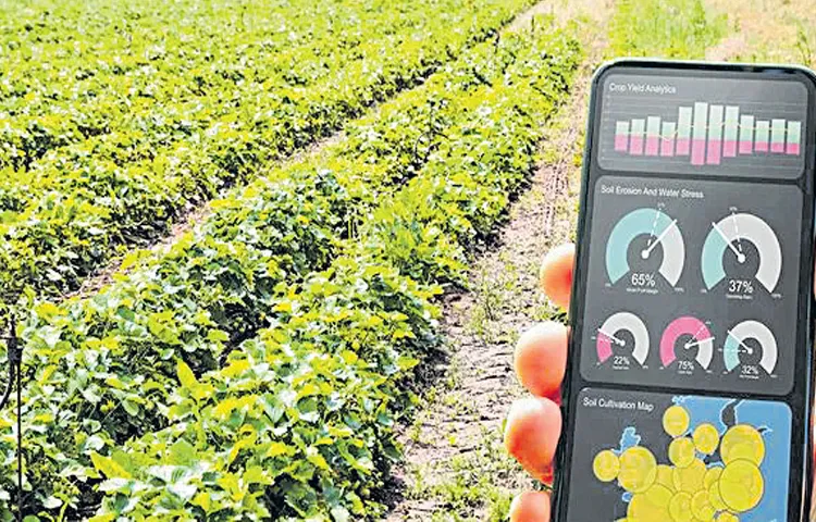 Committees formed for the implementation of the Agristock project