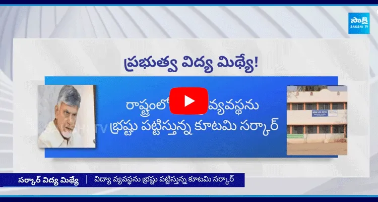 Andhra Pradesh Government About Govt Schools