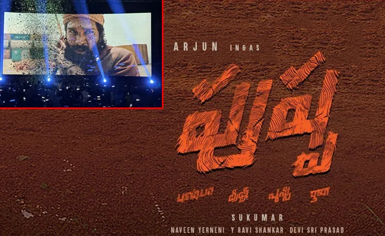 Pushpa Movie Fan Arrested In Maharashtra