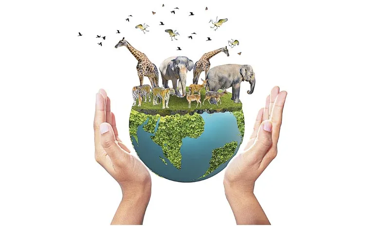 Decreasing area of trees: Telangana