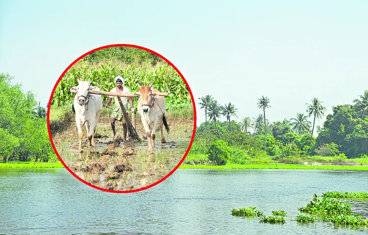 Irrigation water users association for each pond
