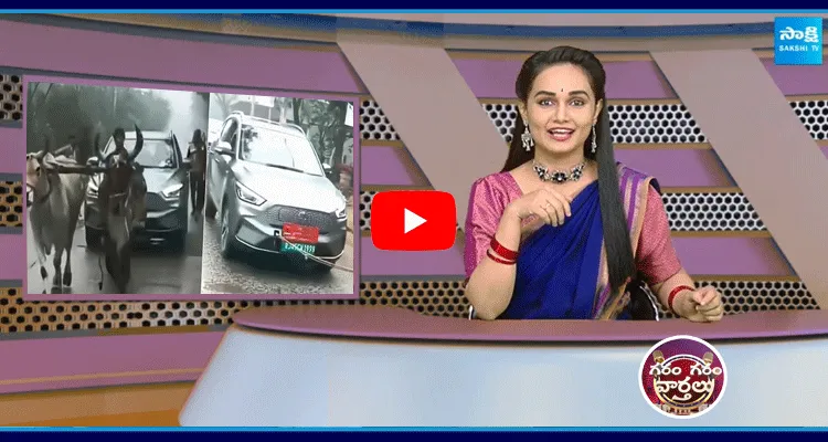 Bulls As Car Drivers In Rajasthan