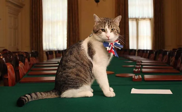 Larry The Cat Bita Chief Mouser To The UK Cabinet Office