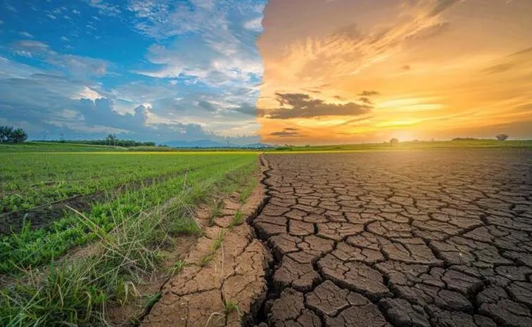 What Is Climate Resilience And Ways To Build