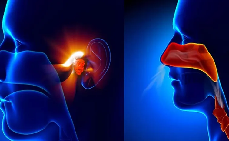 Pollution is destroying health - Ear, nose and throat care tips