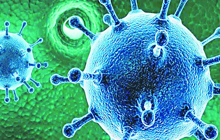 Increasing cases of influenza RSV and HMPV