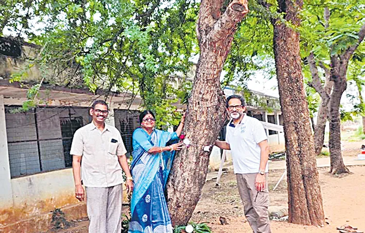 9 trees have historical importance in the state