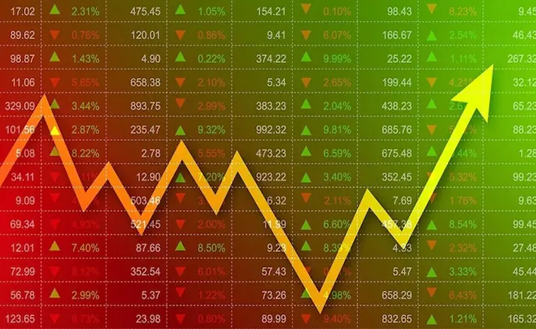 several companies have reported a decline in their quarterly results for Q3 FY25