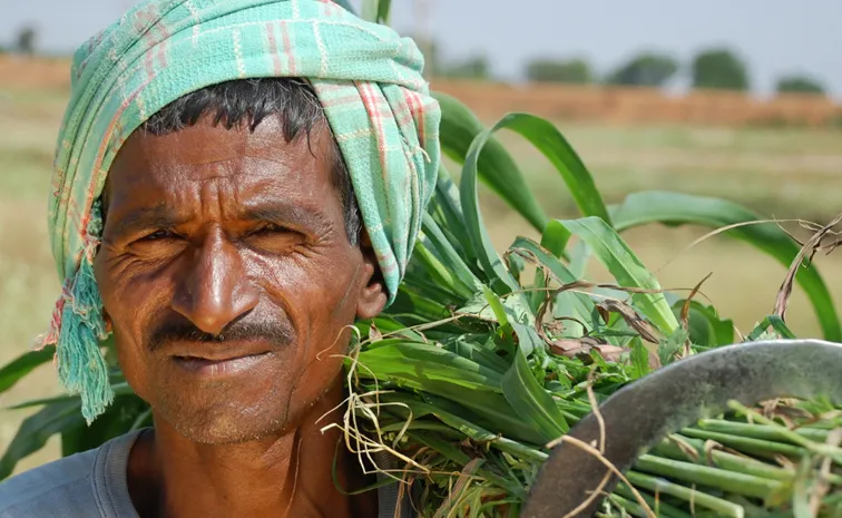 Crisis Agricultural sector and farmers can survive through agitations